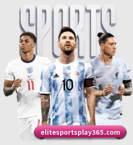 elite体育 APP